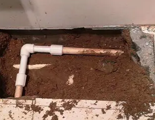 延川测漏水哪家好